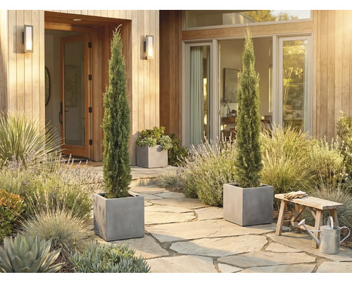 Dekorativer Eingangsbereich mit zwei schlanken Zypressen in quadratischen Pflanzgefäßen