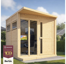 Abri de jardin en bois avec fenêtres et porte dans le jardin