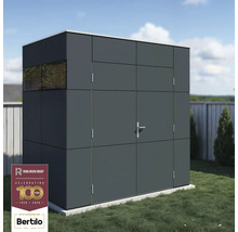 Abri de jardin gris avec fenêtre et porte dans le jardin