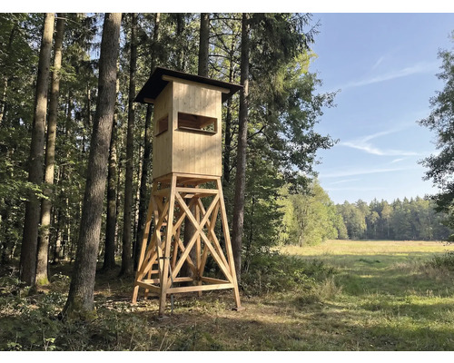 Mirador en bois dans la forêt