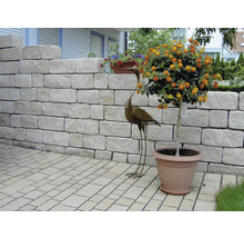 Mur de jardin avec jardinière et décoration