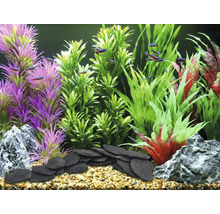 Aquarium mit Kunstpflanzen, Steinen und Fischen für die Dekoration
