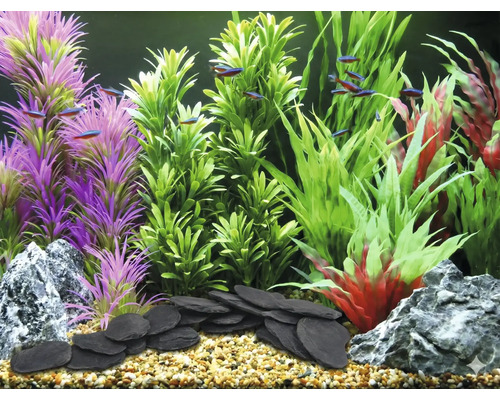 Aquarium mit Kunstpflanzen, Steinen und Fischen für die Dekoration