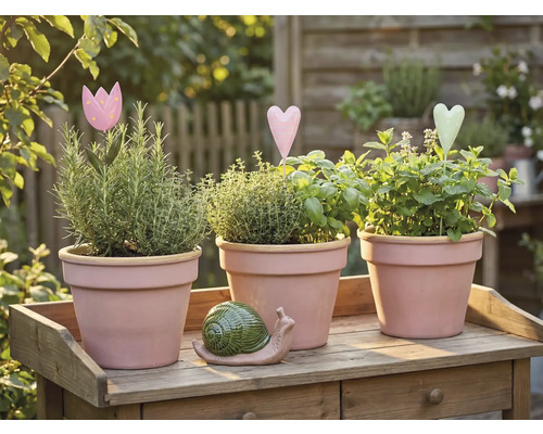 Trois pots d'herbes aromatiques avec des herbes et des décorations sur une table en bois