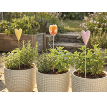 Drei Blumentöpfe mit Kräutern und Beetsteckern im Garten