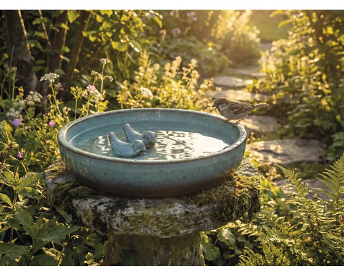 Fontaine à oiseaux avec figurine d'oiseau et moineau dans le jardin
