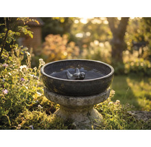 Abreuvoir à oiseaux en céramique avec motifs d'oiseaux dans le jardin