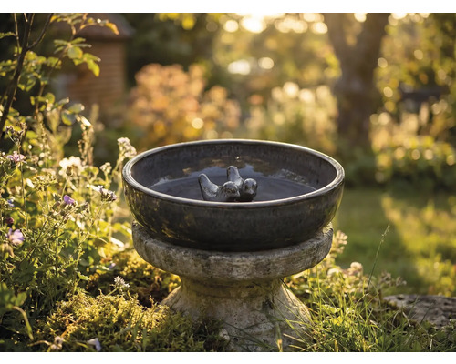 Abreuvoir à oiseaux en céramique avec motifs d'oiseaux dans le jardin