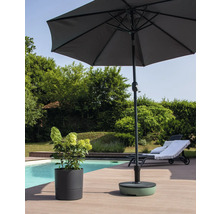Scène avec parasol, pied de parasol, plante en pot et chaise longue au bord de la piscine