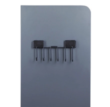 Panneau de vestiaire avec cinq crochets