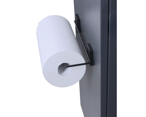 Papierhandtuchhalter mit Papierhandtuchrolle zur Wandmontage