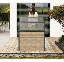 Jardinière surélevée en bois et en verre dans le jardin avec jardinière.