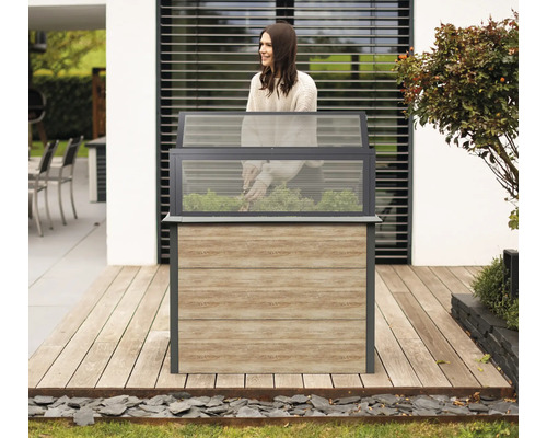 Jardinière surélevée en bois et en verre dans le jardin avec jardinière.