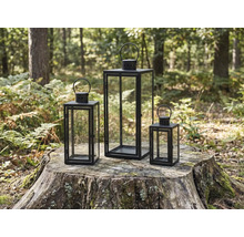 Trois photophores en métal et verre sur une souche d'arbre dans la forêt