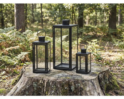 Trois photophores en métal et verre sur une souche d'arbre dans la forêt