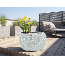 Pflanzgefäß in Schneckenform mit Narzissen auf einer Terrasse