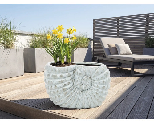 Pflanzgefäß in Schneckenform mit Narzissen auf einer Terrasse