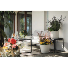 Terrasse mit Sitzgelegenheiten, Tisch und bepflanzten Blumentöpfen