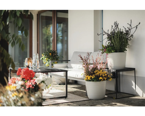 Terrasse mit Sitzgelegenheiten, Tisch und bepflanzten Blumentöpfen