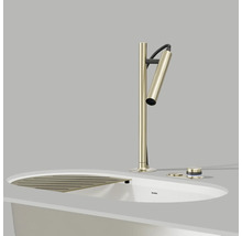 Robinet d'évier Blanco avec égouttoir et bouton de commande