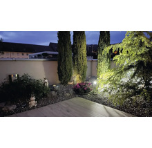 Gestalteter Garten mit Pflanzen, Gartenfiguren und Beleuchtung