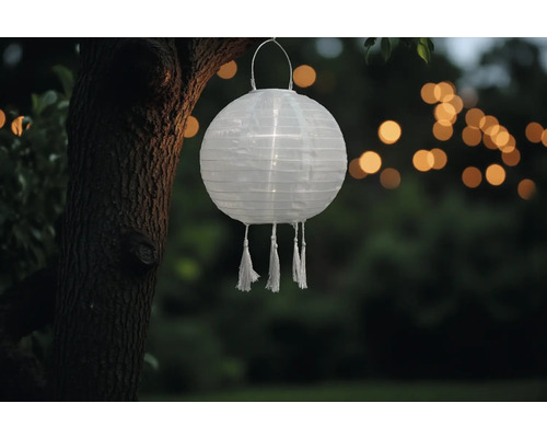 Lanterne en papier avec pompons dans le jardin.