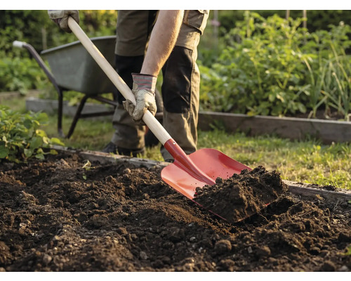 Eine Person gräbt mit einem Spaten im Garten die Erde um. Eine Schubkarre steht im Hintergrund.