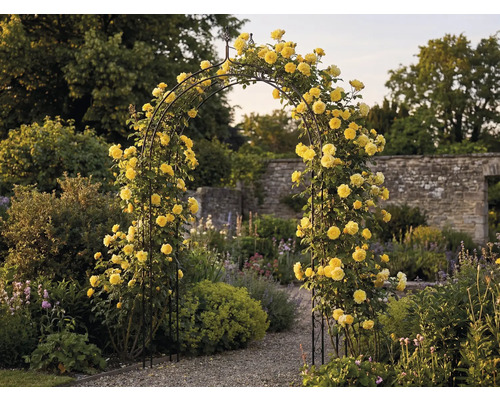 Gartenansicht mit Rosenbogen, bewachsen mit gelben Rosen