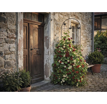Vue extérieure d'une maison avec porte en bois et treillis avec des plantes de capucines en fleurs