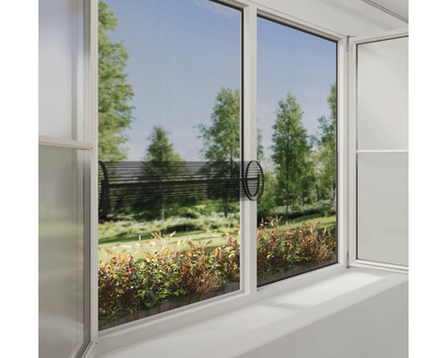 Fenêtre avec moustiquaire et vue sur la verdure