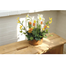 Dekoratives Gesteck mit Narzissen in Keramiktopf auf Holztisch