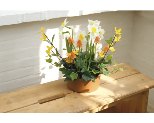 Dekoratives Gesteck mit Narzissen in Keramiktopf auf Holztisch