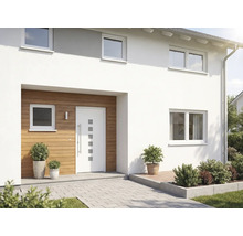 Modernes Haus mit Haustür, Fenstern und Aussenbereich