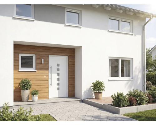 Modernes Haus mit Haustür, Fenstern und Aussenbereich