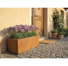 Aussenaufnahme eines Blumenkastens aus Metall vor einer Haustür mit Pflastersteinen.