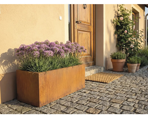 Aussenaufnahme eines Blumenkastens aus Metall vor einer Haustür mit Pflastersteinen.