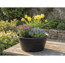 Arrangement floral avec des jonquilles, des fleurs bleues et roses dans un pot sur une table à l'extérieur