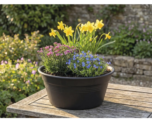 Arrangement floral avec des jonquilles, des fleurs bleues et roses dans un pot sur une table à l'extérieur