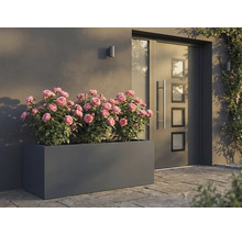 Jardinière rectangulaire avec des roses devant une porte d'entrée