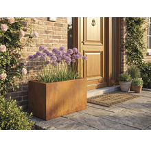 Szene mit einem rechteckigen Pflanzgefäß aus Metall und lila Zierlauch vor einer Haustür.