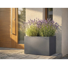 Jardinière rectangulaire en métal avec lavande devant une porte d'entrée