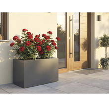 Rechteckiger Pflanzkasten mit roten Rosen vor einem Haus