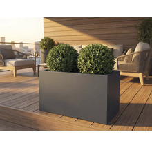 Jardinière rectangulaire avec deux boules de buis sur une terrasse