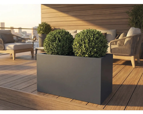 Jardinière rectangulaire avec deux boules de buis sur une terrasse
