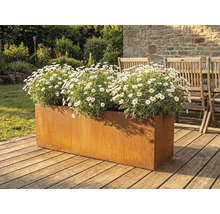Jardinière en métal avec des marguerites sur une terrasse en bois