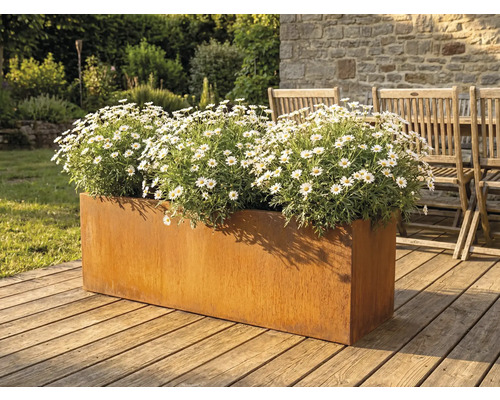 Jardinière en métal avec des marguerites sur une terrasse en bois