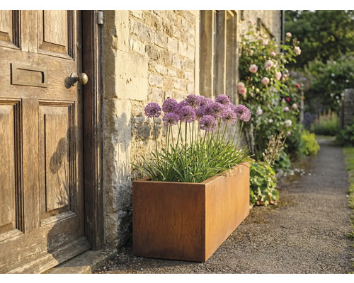 Jardinière rectangulaire en métal avec de l'ail d'ornement à côté d'une porte d'entrée
