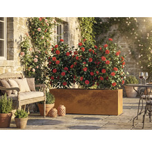 Espace extérieur avec des fleurs dans une jardinière, un banc et une table avec des chaises sur une terrasse