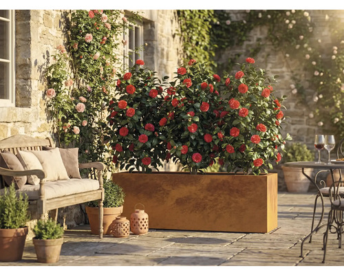 Espace extérieur avec des fleurs dans une jardinière, un banc et une table avec des chaises sur une terrasse