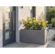 Jardinière grise avec des roses jaunes devant la porte d'entrée